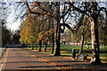 Autumn Afternoon in Greenwich Park