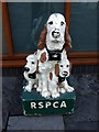 RSPCA collection box