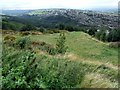 The Bolehills, near Crookes