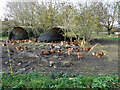 Chicken run, Frith Park Farm