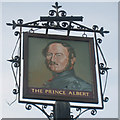 The Prince Albert sign