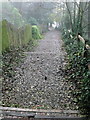 Steps below Farnham Castle