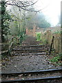 Farnham Castle Steps