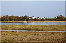 SD3543 : The River Wyre Estuary salt-marshes by Steve Daniels