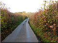 Looking NW along Broad Woods Lane