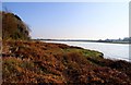 The Wyre Way by Shard Bridge