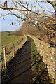 Footpath at Loch Arthur