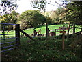 Footpath sign and fields at Cae-madog