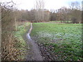 Footpath towards Lady Brook, Bramhall