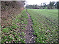 Footpath towards Millhill Bridge