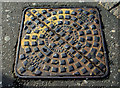 J3374 : Misterton manhole cover, Belfast by Albert Bridge