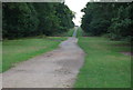TQ5453 : Broad Walk, Knole Park by N Chadwick