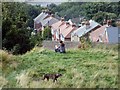 The Bolehills, near Crookes