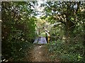 A footbridge leading from a nature reserve near Griggs Field