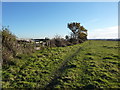 Field, footpath and a glimpse of pre-fabs