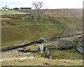 Pair of footbridges at the confluence of Bleagill Sike and Flushiemere Beck