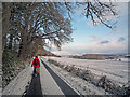 The road to Munlochy near Allangrange