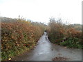 Lane to Wenvoe Quarry