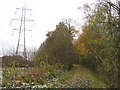 Cycle path near Llanfoist