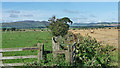 NT9933 : Farmland near Doddington (1) by Stephen Richards