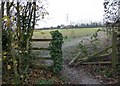 Start of footpath linking South and Cemetery Lanes