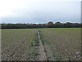 Footpath linking South and Cemetery Lanes