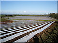 Strip farming near Howend