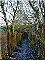 SO9095 : Footpath on Colton Hills, Wolverhampton by Roger  D Kidd