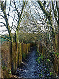 SO9095 : Footpath on Colton Hills, Wolverhampton by Roger  Kidd
