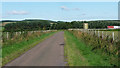 Country road near Doddington (1)