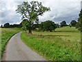 Country road near Wooperton (1)