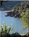 Headland, Salcombe Harbour