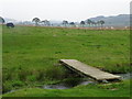 Footbridge, Dronley