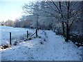 Footpath beside the River Irfon in winter