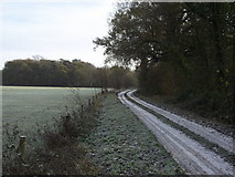TL8159 : Snow And Frost by Keith Evans