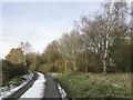 Country road with footpath to the right