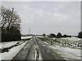 Looking across The Common at Chippenhall Green