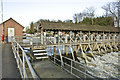 Molesey lock weir