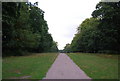 Chestnut Walk, Knole Park