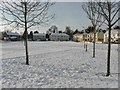 Snow at Cannondale, Omagh