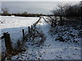 Snow covered track, Marehay