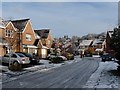 Delphinium Road, Afon Village, Rogerstone