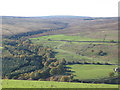 The valley of the River South Tyne south of Whitwham