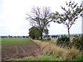 Arable fields, Bolshan