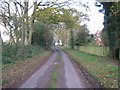 Gambledown Lane near Tote Hill