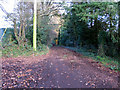 Bridleway leading from Gambledown Lane