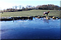 Blue ice on the Rochdale Canal