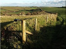 SX7038 : Field boundary, Furzedown Farm by Derek Harper