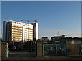 Bromley Charter Market