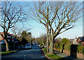 Park Drive in Goldthorn Park, Wolverhampton